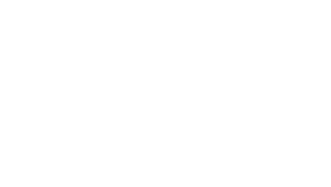 Pines Insurance Group - Logo 500 White