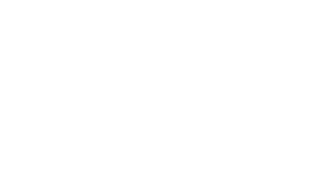 Pines Insurance Group - Logo 800 White